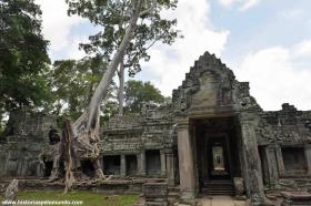 RED_005_Árvores_de_Angkor