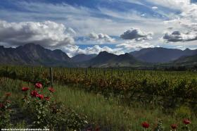 RED_06_Franschhoek_e_região_dos_vinhos