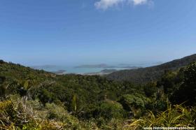 RED_006_Coromandel_vista_do_alto_das_montanhas