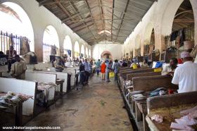 RED_010_Mercado_de_peixes_em_Stone_Town