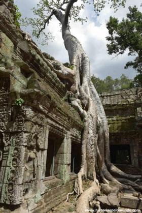 RED_001_Ta_Prohm_Angkor