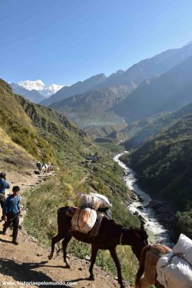 RED_005_Burros_pelo_caminho_carregando_mercadorias