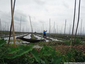 RED_008_Plantação_em_Inle_Lake