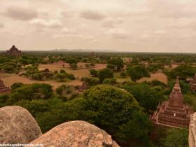 RED_005b_Bagan